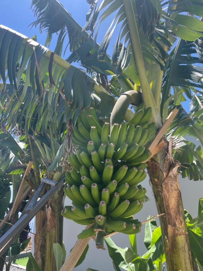 King'S Paradise Estreito Da Calheta Kültér fotó